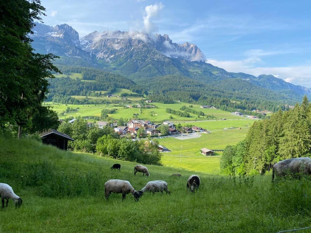 Alpen Studio Ellmau II Kültér fotó